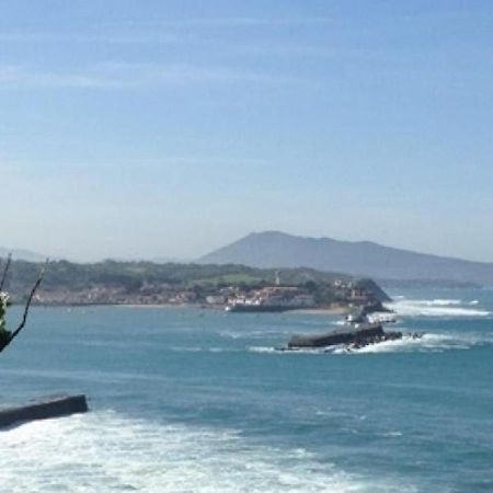 Elegant Appartement A St-Jean-De-Luz - Proche Plage & Commerces - Fr-1-239-851 Сен-Жан-де-Люз Екстер'єр фото